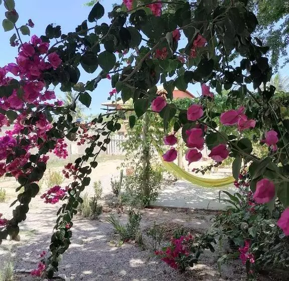 Aamiaismajoitus (B&B) Dona Maragô Pousada
