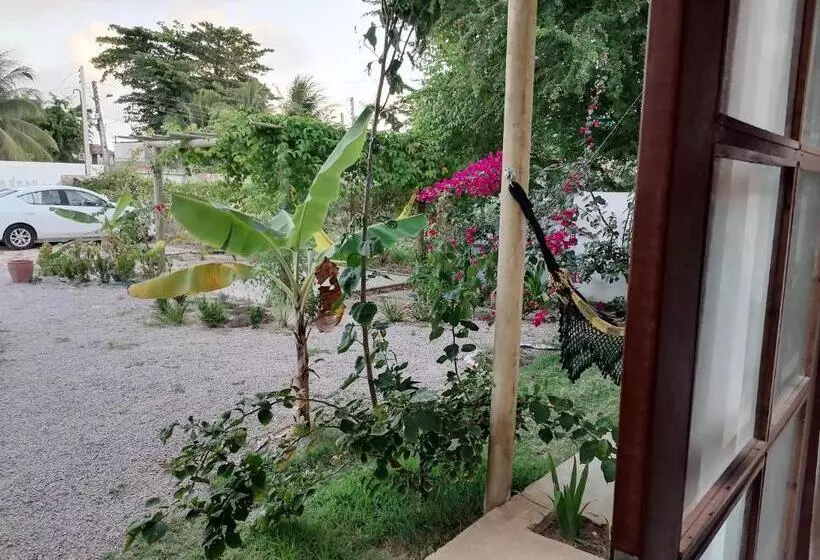 Aamiaismajoitus (B&B) Dona Maragô Pousada