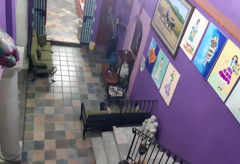 Отель Posada Don Matias