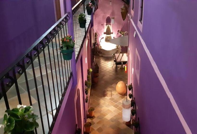 Отель Posada Don Matias