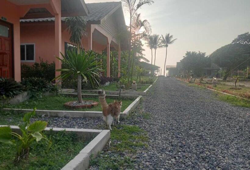 هتل Scandinavian Beach Resort