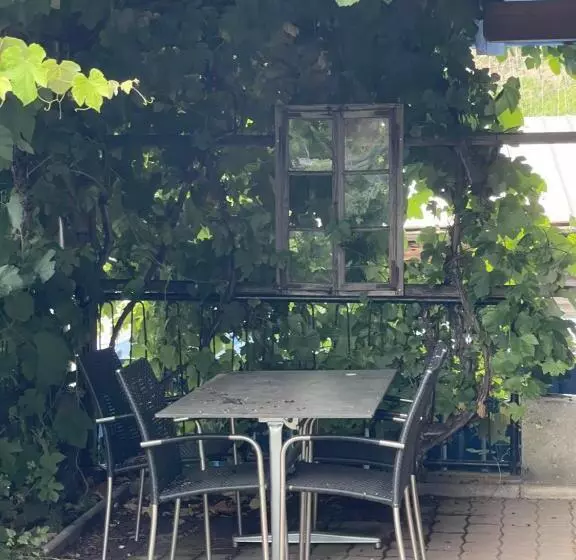 ホテル Check In 24 7 Ohne Frühstück Gratis Parkplatz