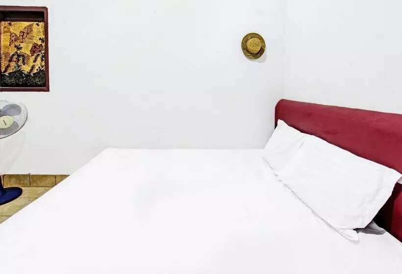 Hotelli Spot On 91982 Dani Homestay