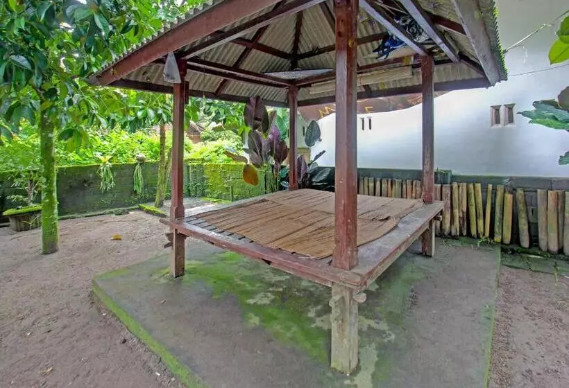 Hotelli Spot On 91982 Dani Homestay