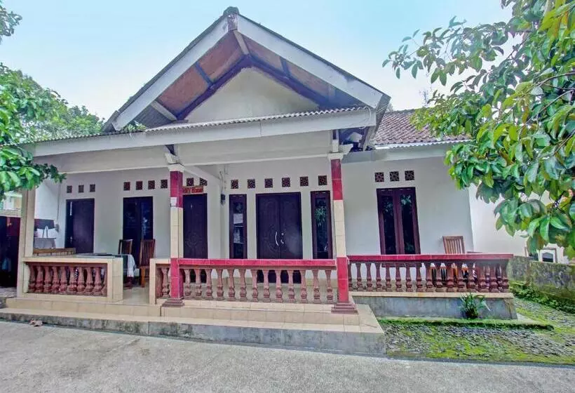 Hotelli Spot On 91982 Dani Homestay