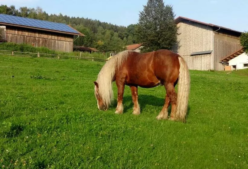ホテル Urlaub Auf Dem Haberlhof