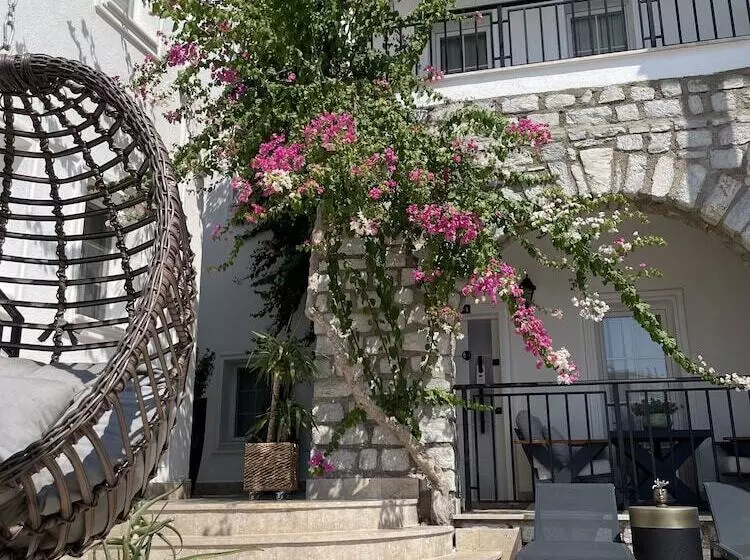 Noa Suite Hotel   Adults Only