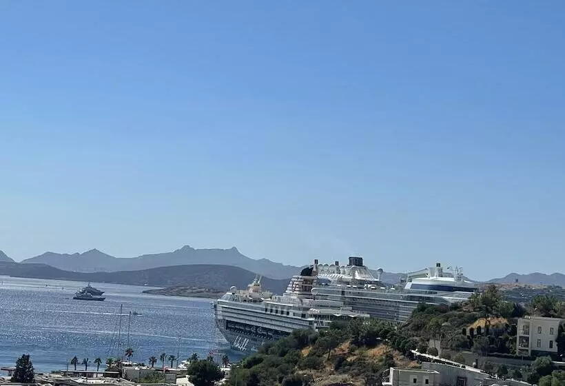 Noa Suite Hotel   Adults Only