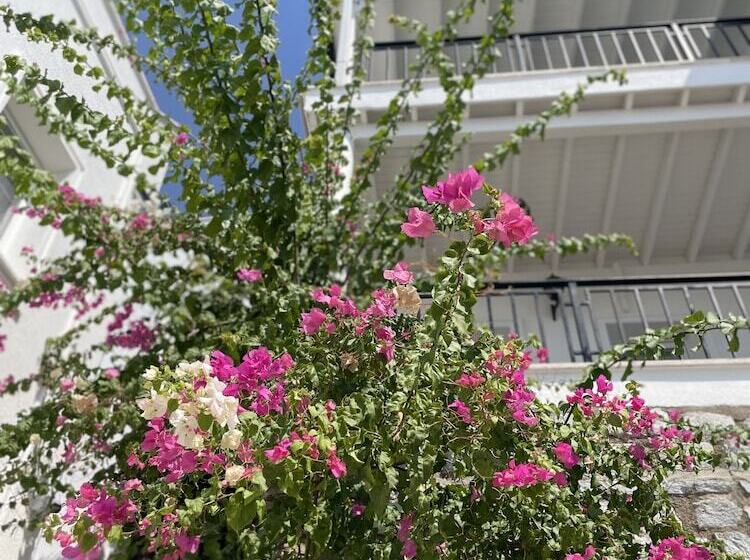 Noa Suite Hotel   Adults Only