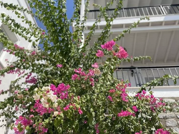 Noa Suite Hotel   Adults Only