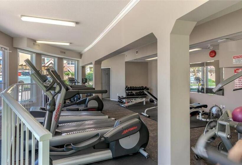 Vacation At Discovery Bay Resort