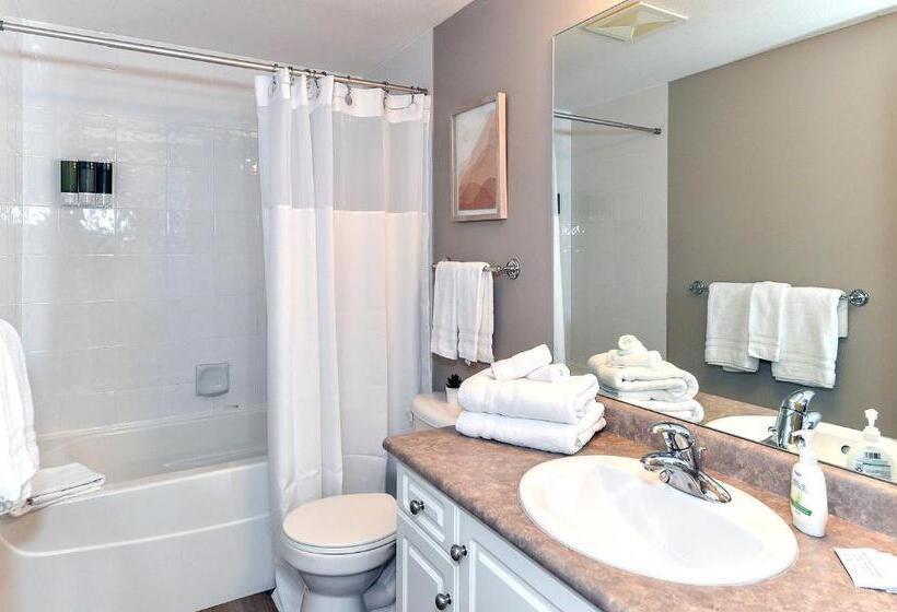 Vacation At Discovery Bay Resort