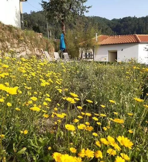 تختخواب و صبحانه A Casa Com 2 Pereiras