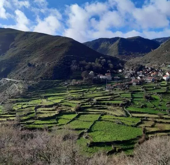 تختخواب و صبحانه A Casa Com 2 Pereiras