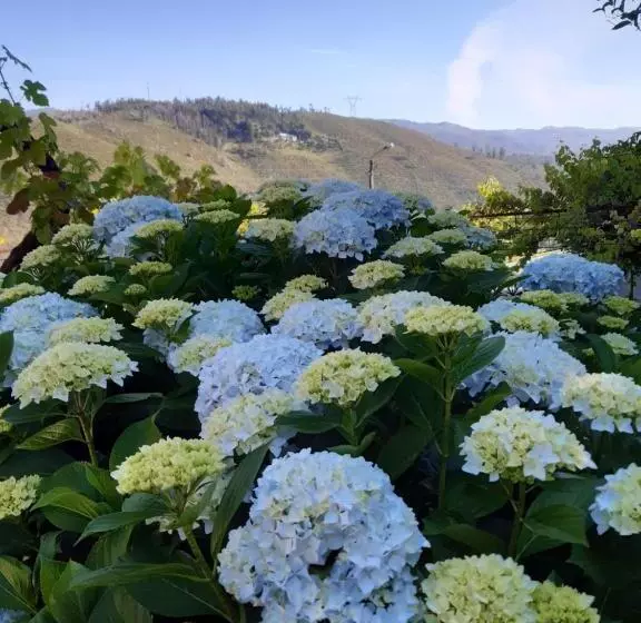 تختخواب و صبحانه A Casa Com 2 Pereiras