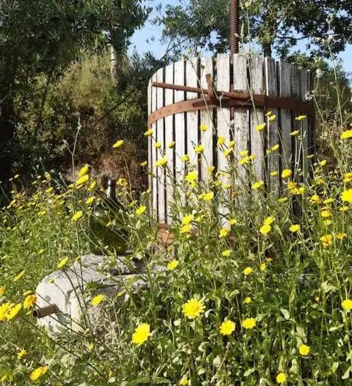 تختخواب و صبحانه A Casa Com 2 Pereiras