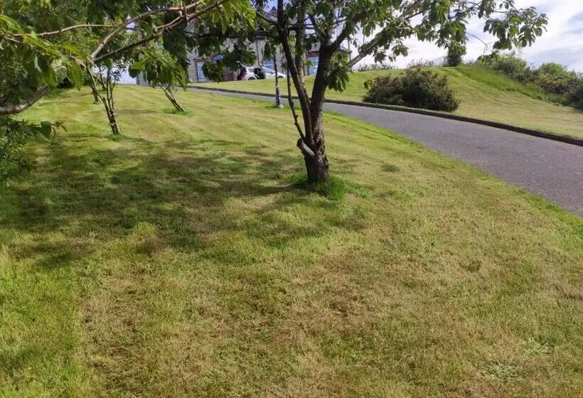 ベッドアンドブレックファースト Ballylawn Lodge