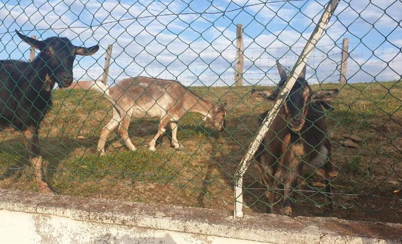 민박 La Mouche Villa Chambre Familiale Piscine
