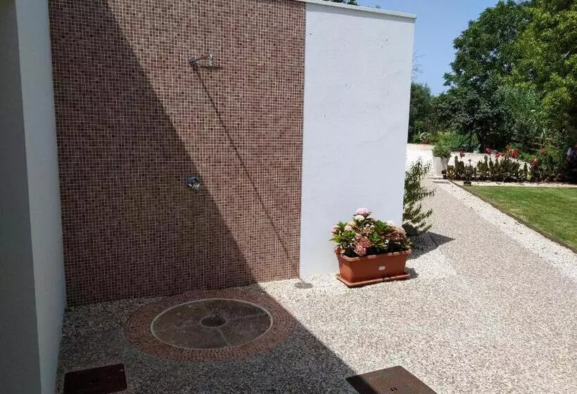 ベッドアンドブレックファースト Moinho Real