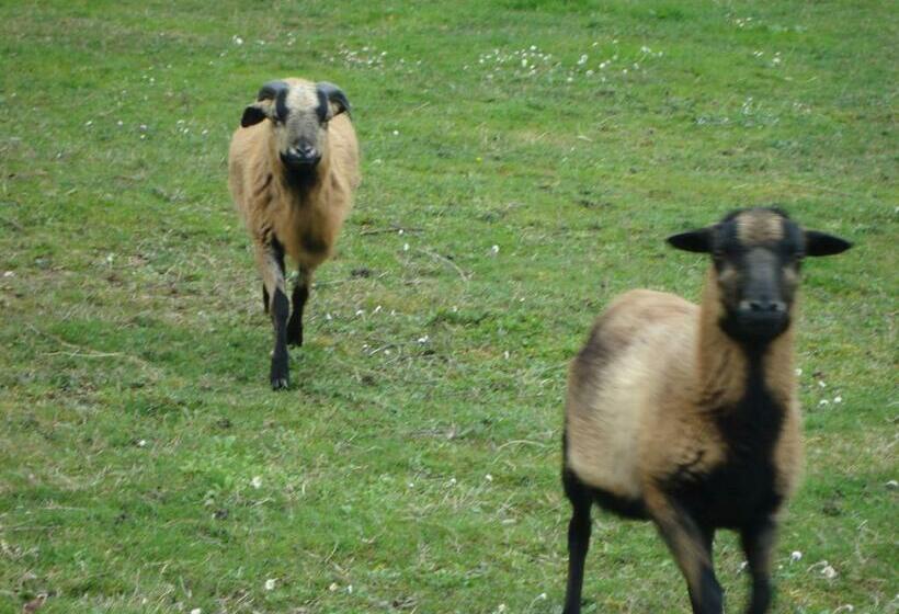 ベッドアンドブレックファースト ô Zirondels