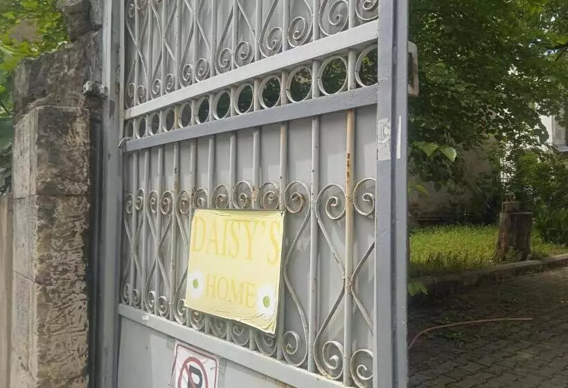 Daisy S Home
