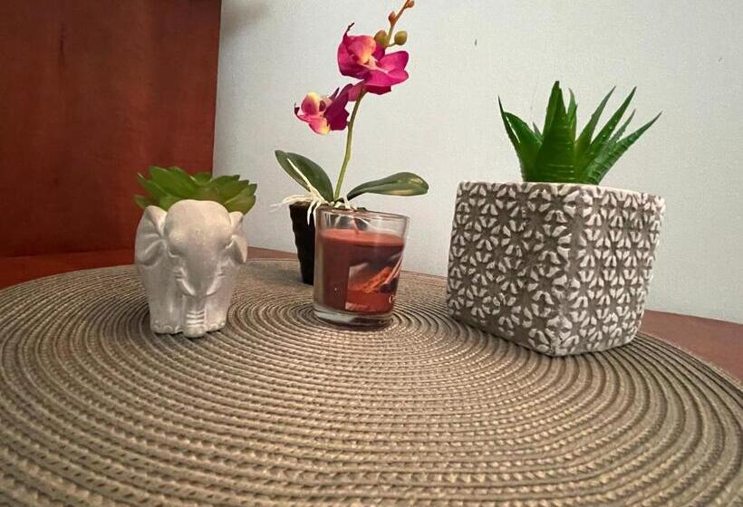 酒店 Bar & Guests Room Ela