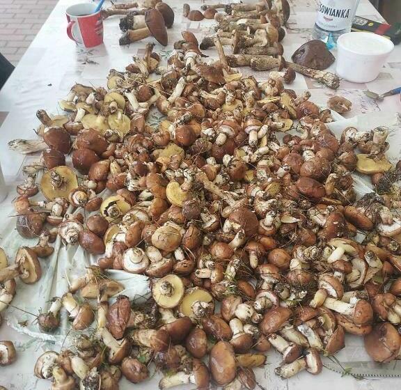 בית מלון כפרי Leśny Dworek Pokoje Nad Jeziorem