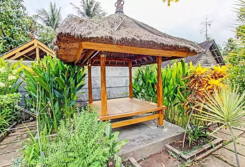 ホテル Swan Homestay