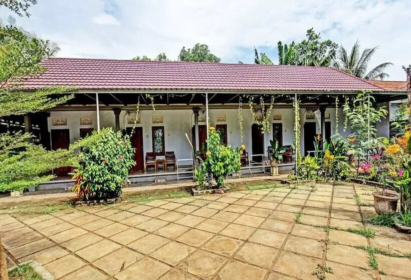 ホテル Swan Homestay