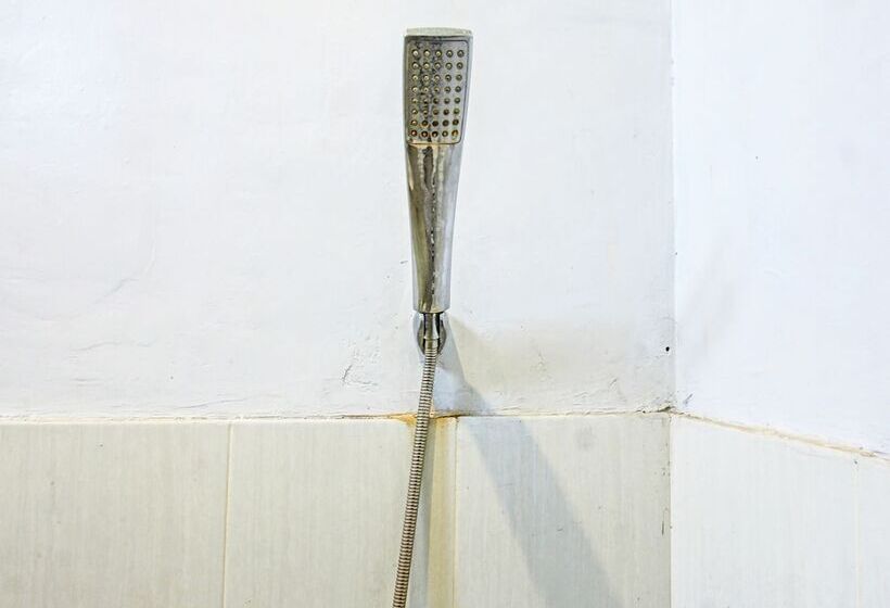 酒店 Swan Homestay