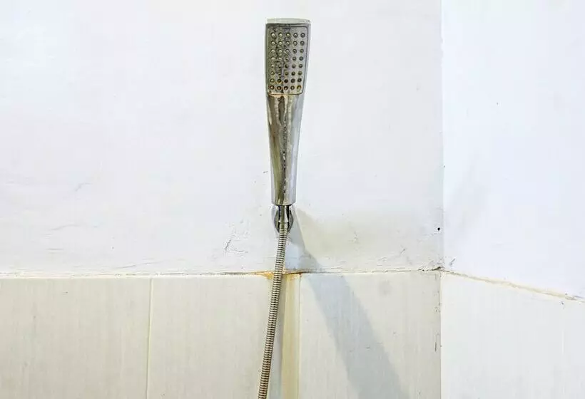 ホテル Swan Homestay