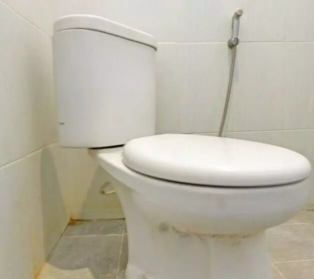 ホテル Swan Homestay