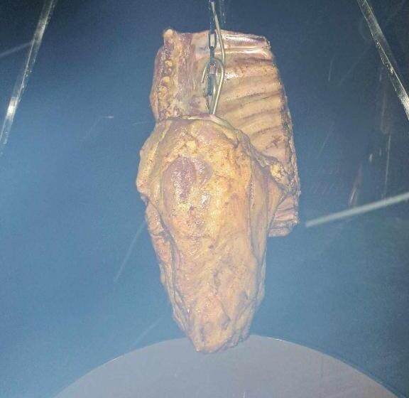 Motohostel Wolter   Hostel Copa