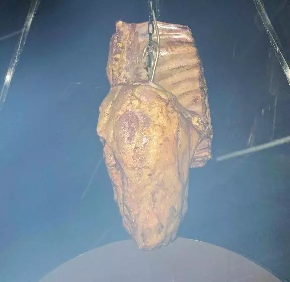 Motohostel Wolter   Hostel Copa