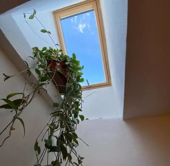 ペンション Casa Mili