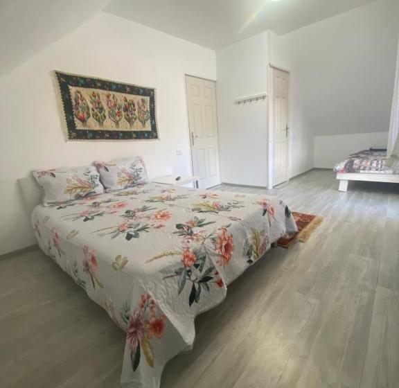 פנסיון Casa Mili