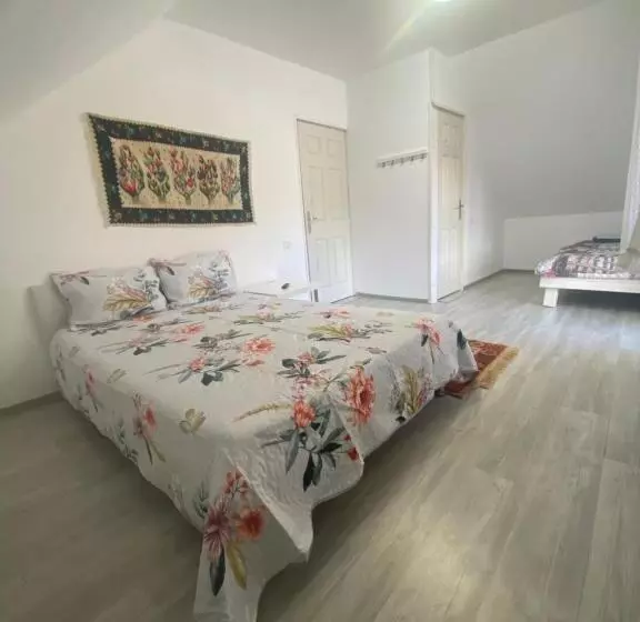 ペンション Casa Mili