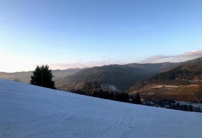 ペンション Penzion Karolinka