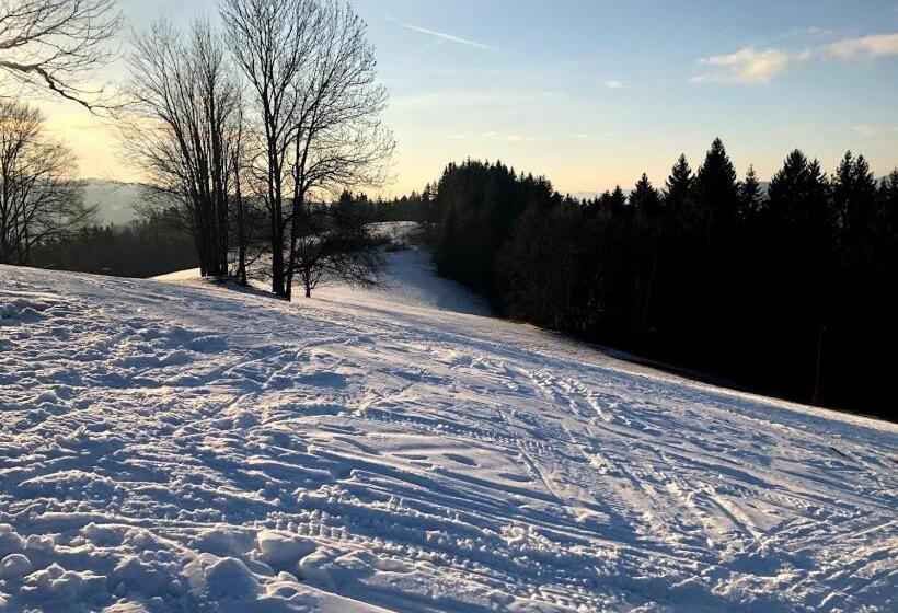 ペンション Penzion Karolinka