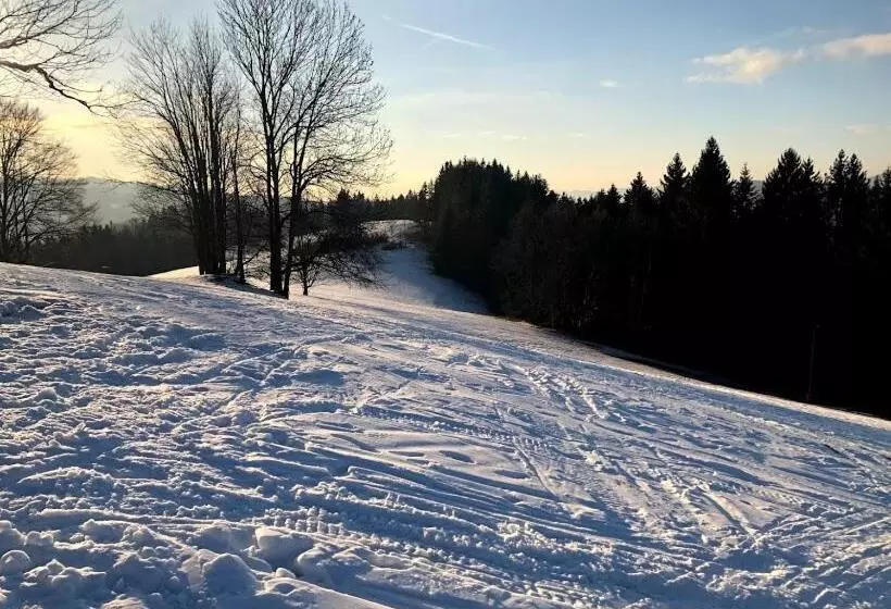 Majatalo Penzion Karolinka