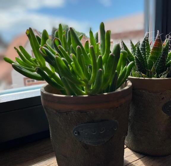 膳宿费 Sonnenhof 1737   Ferienzimmer & Apartments