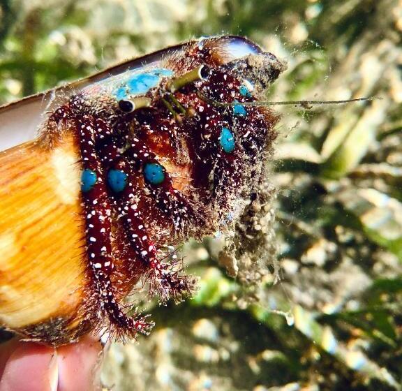 渡假胜地  Miley Lodging Restobar