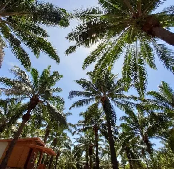 هاستل Som Palmgarden