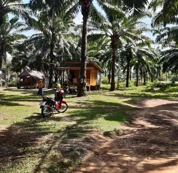 هاستل Som Palmgarden