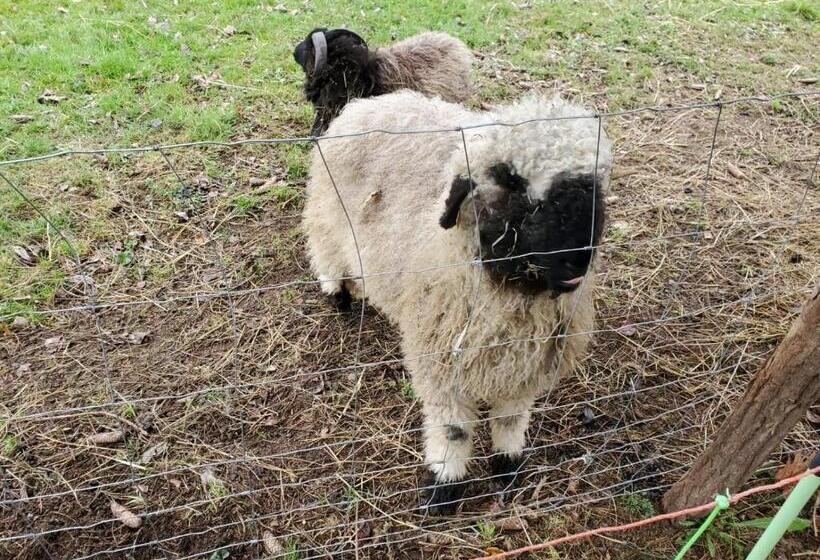 ベッドアンドブレックファースト Domaine Des Maillets