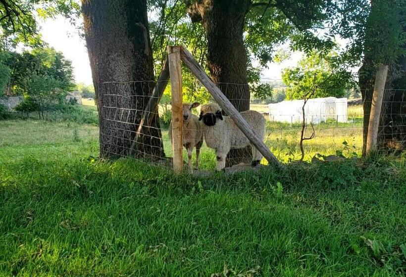 ベッドアンドブレックファースト Domaine Des Maillets