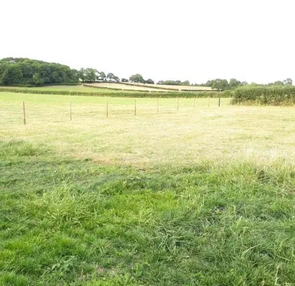 Aamiaismajoitus (B&B) Foxholes Accommodation