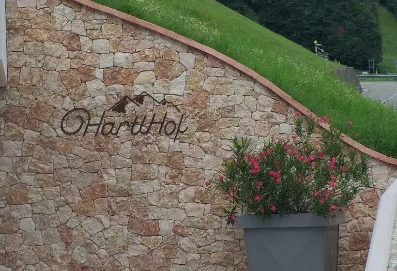 Bed and Breakfast Hartlhof