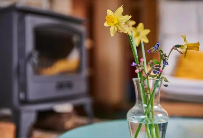 Bed And Breakfast Joarum