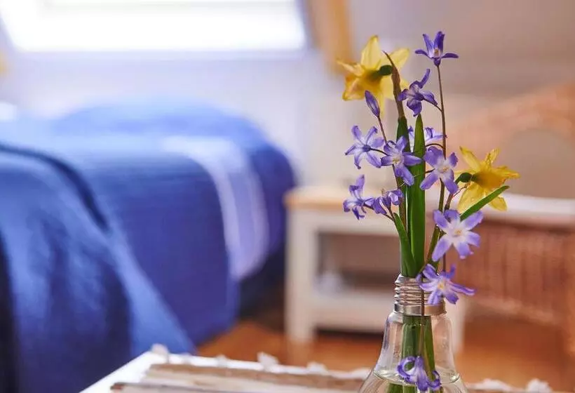 Bed And Breakfast Joarum